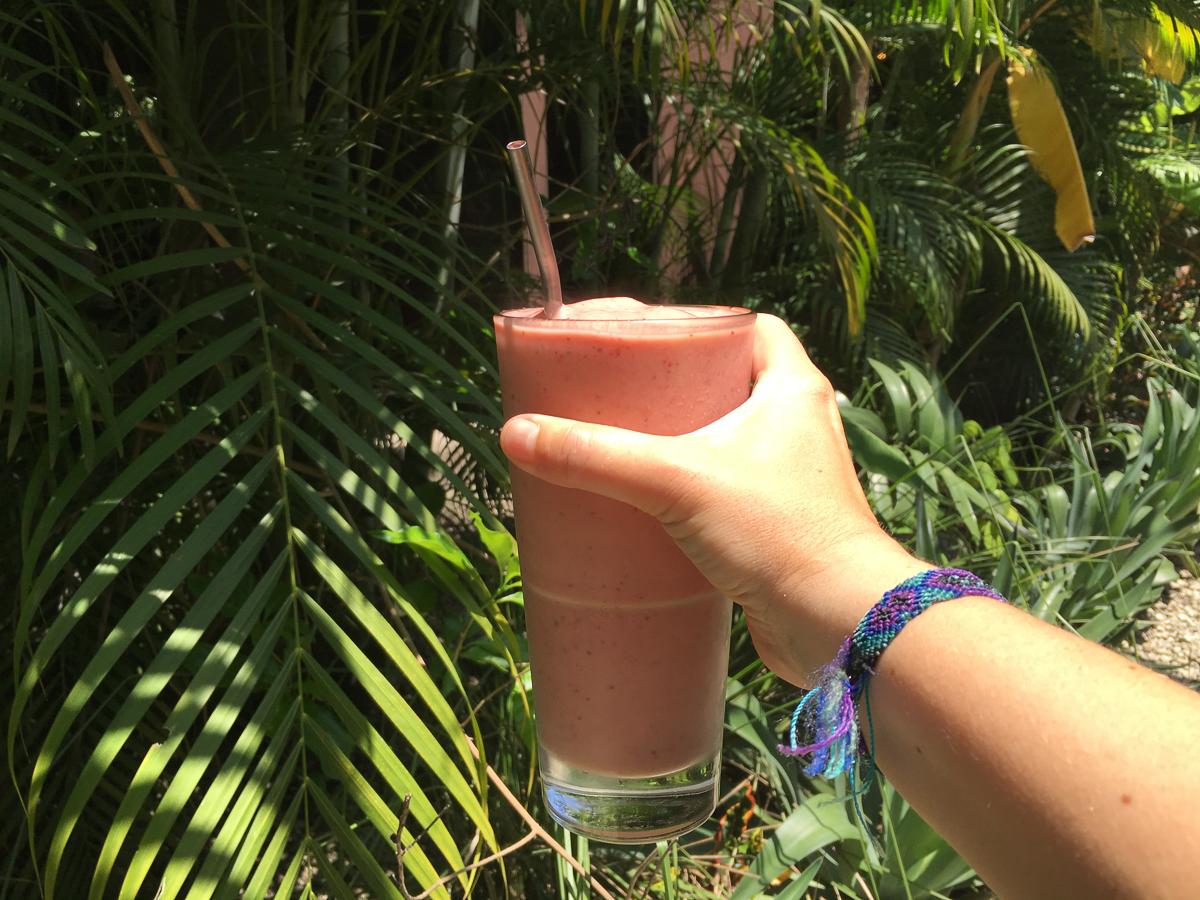 Santa Teresa (Costa Rica) - mijn geheime tip