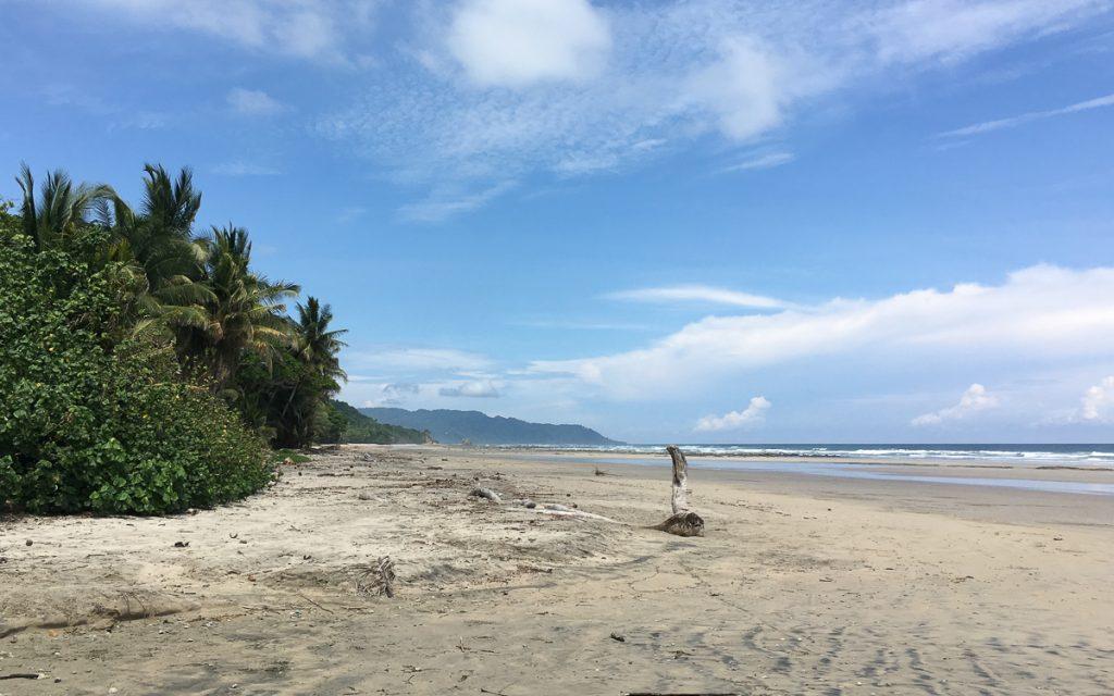 Costa Rica: My favorite place: Santa Teresa Playa Hermosa