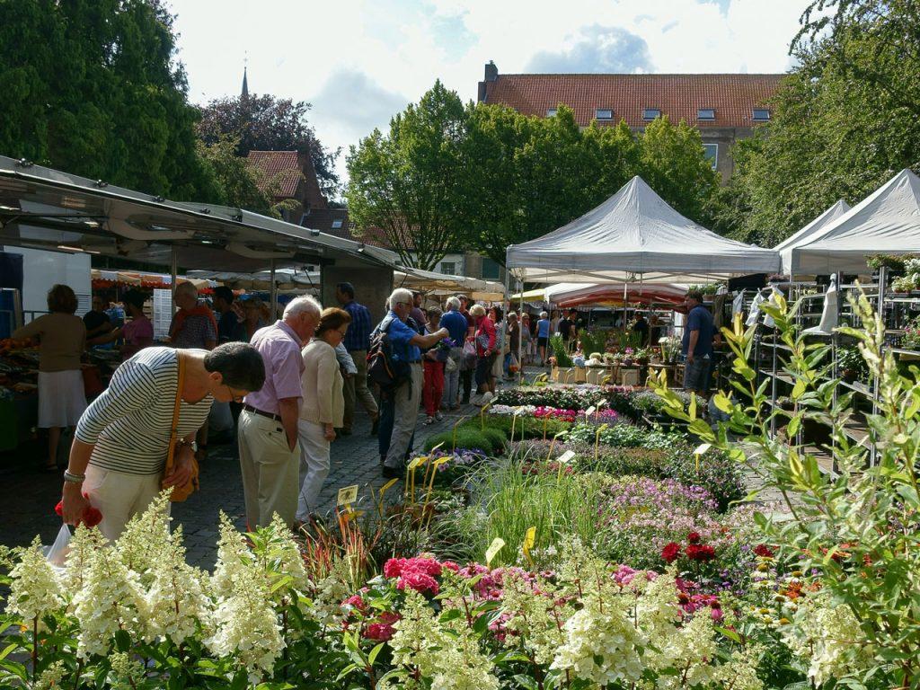 brugge-tips-markt-bezoeken