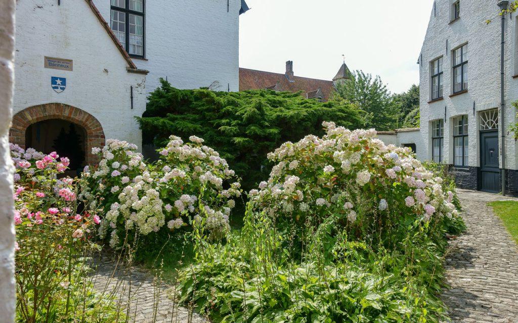 brugge-tips-bezienswaardigheden-begijnhof