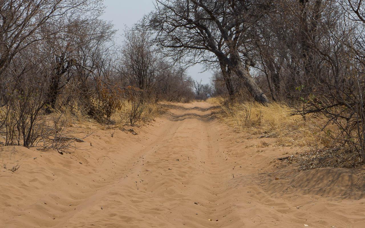 Autorijden Botswana tips Savuti diep zand