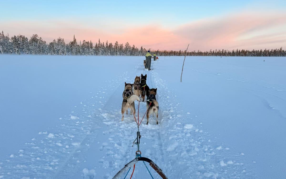Pink sky in the morning in Lapland