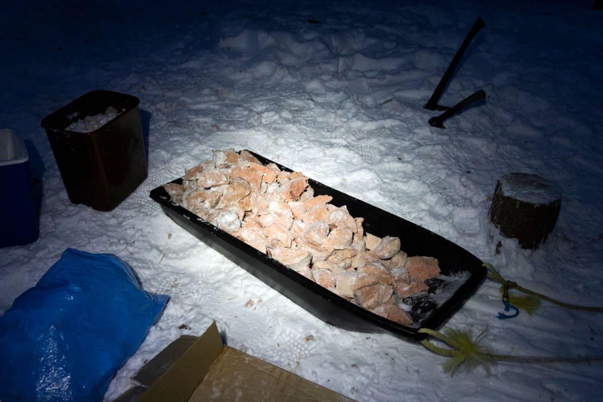 Frozen food for huskies