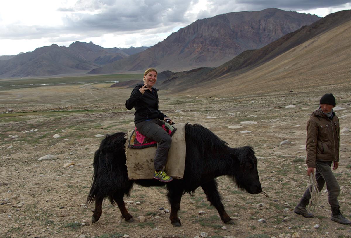 Yak rijden in de Alichur Range Bashgumbez (Pamir-gebergte)