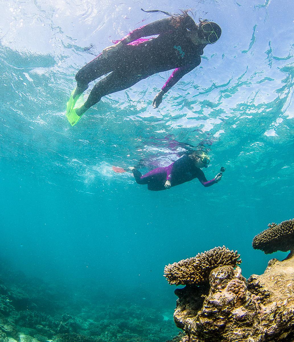 snorkelen-koraalrif-ningaloo-rif