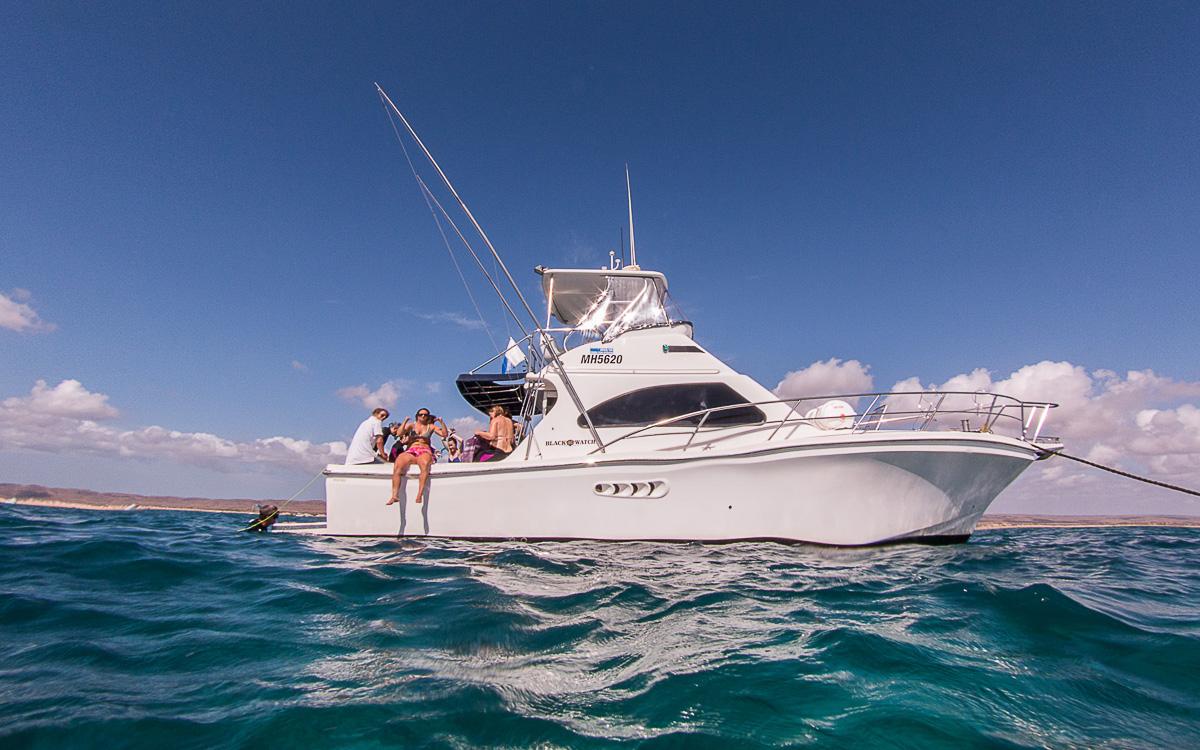 Boot Live Ningaloo Wave Rider