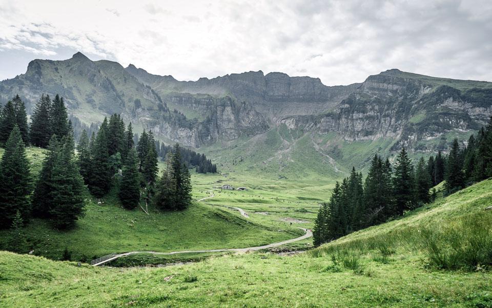 bregenzerwald-vorarlberg-wandern-sommer