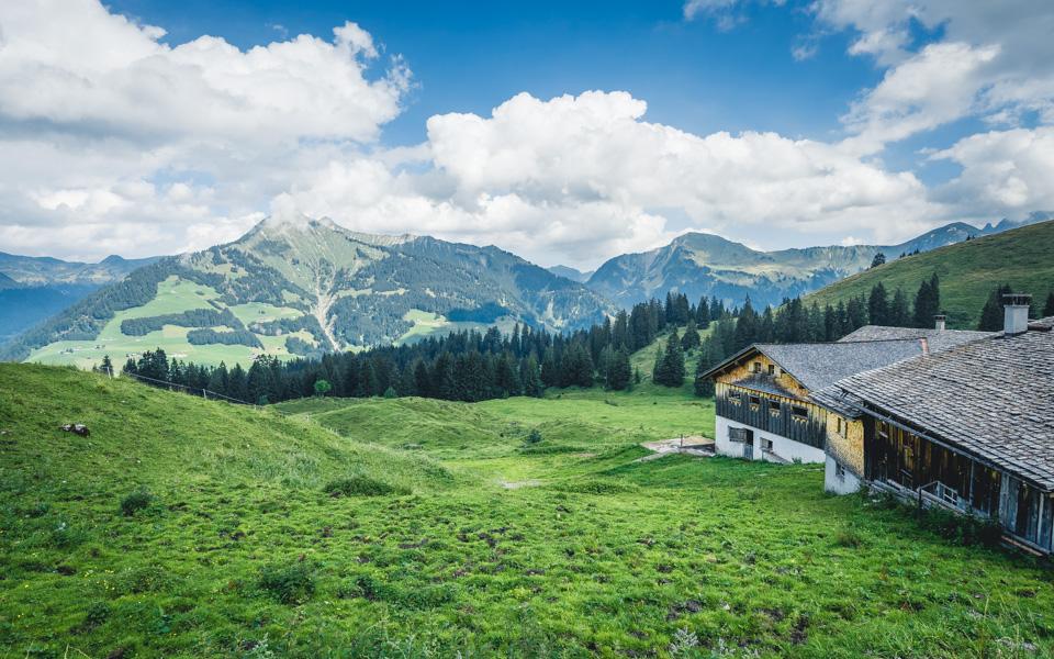 groot-walsertal-vorarlberg-sommerkulinarium