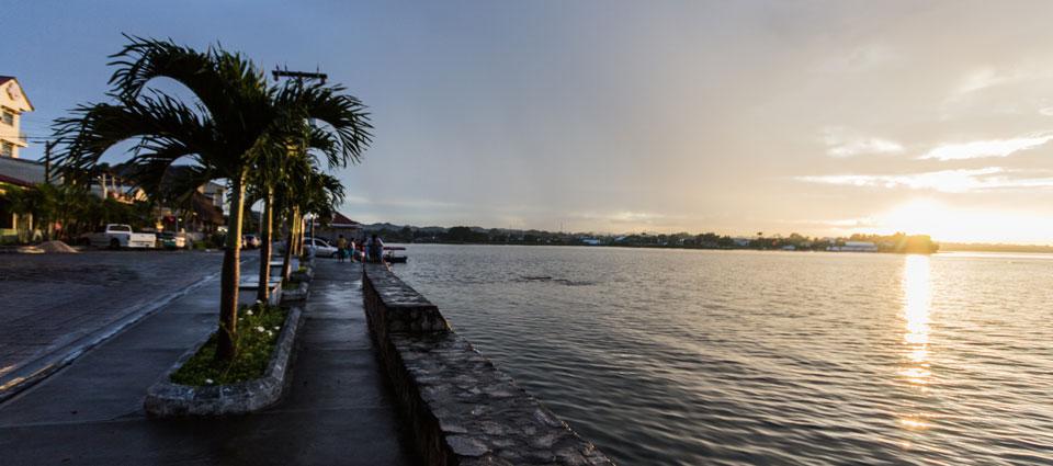 flores_palms_lake