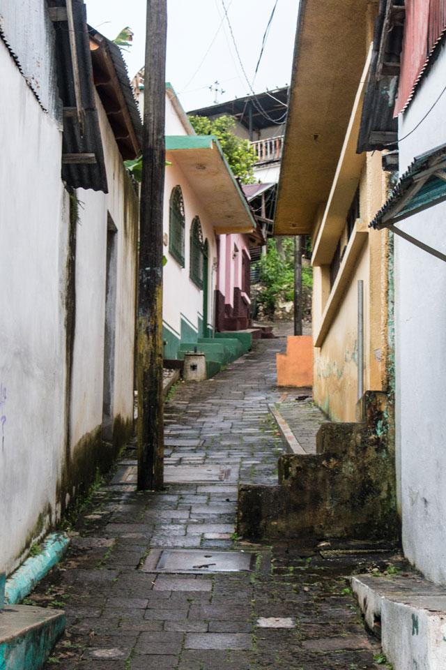 small_streets_in_flores