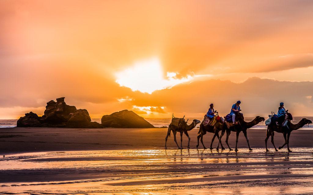 Plage Tagharte près d'Essaouira (Maroc)
