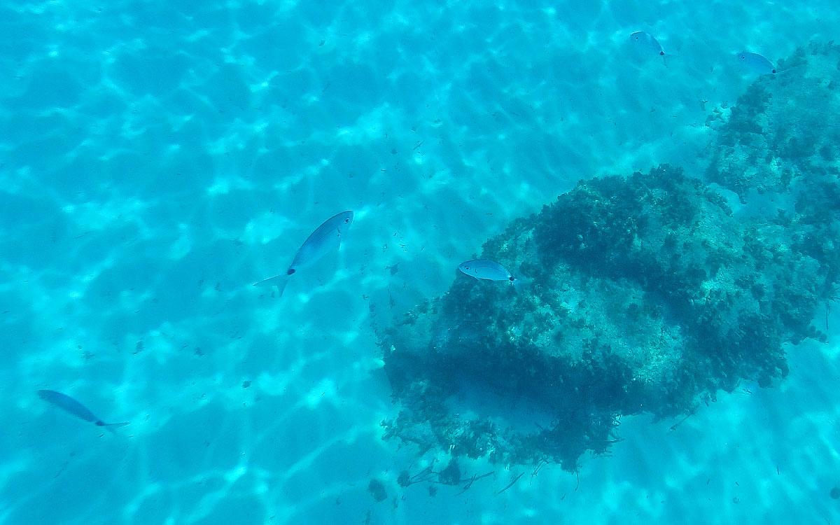 Sardinia Clear Water Sea