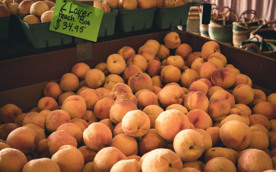 kootenay-rockies-farms-peaches