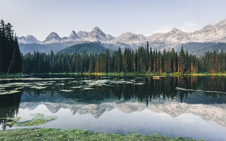 island-lake-fernie-bear