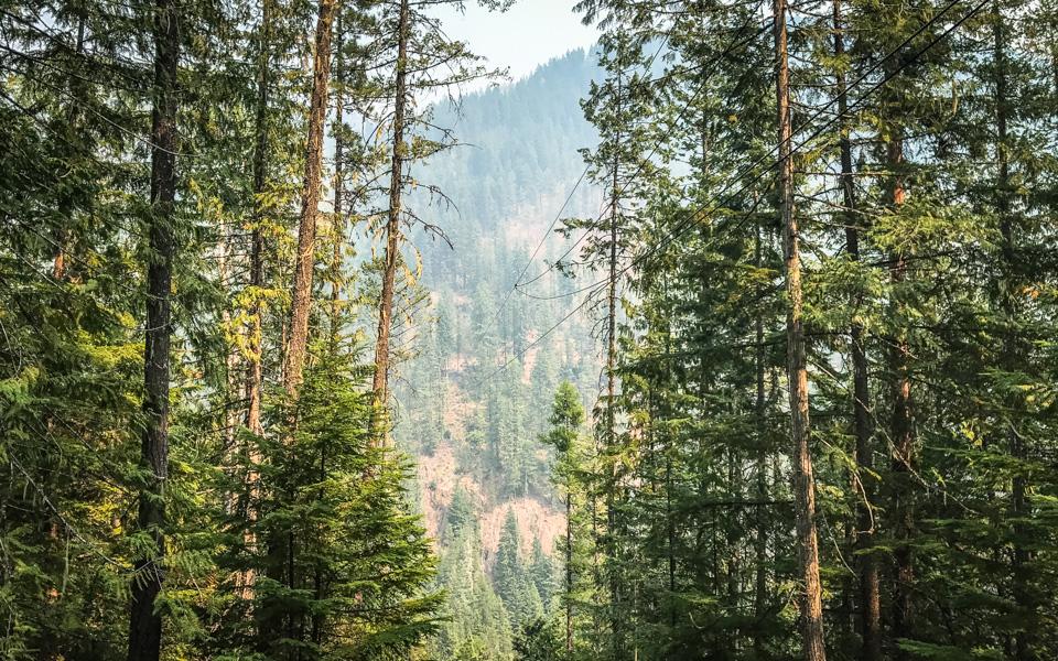 kokanee-ziplines-british-columbia
