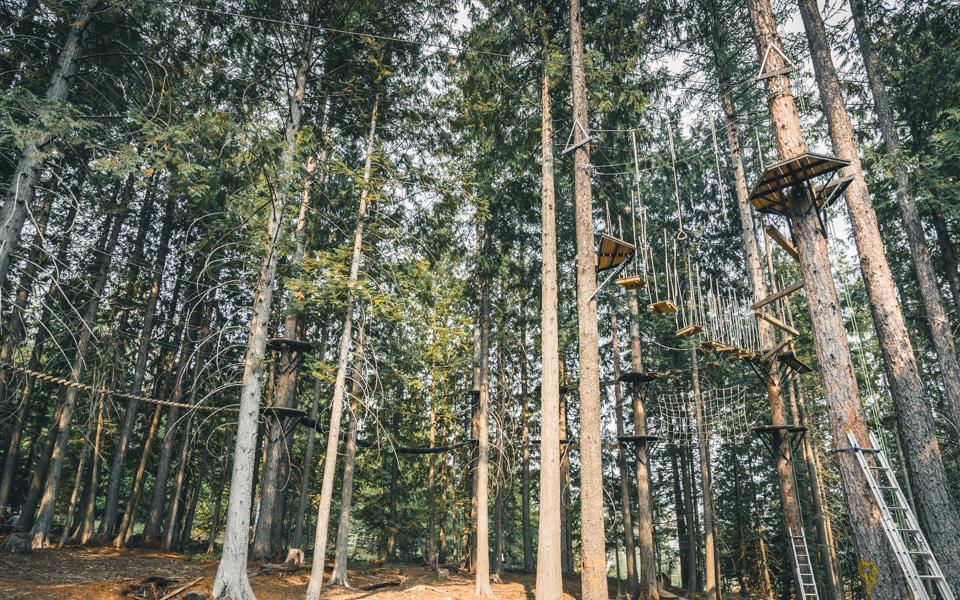Tree Top Aerial Park Fernie Alpine Resort