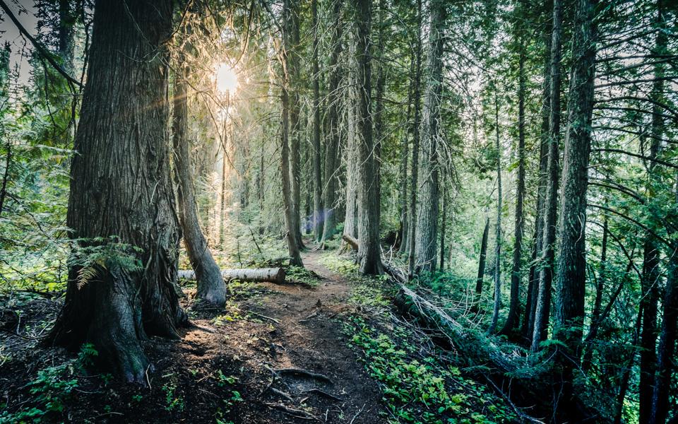 island-lake-fernie-hiking-2