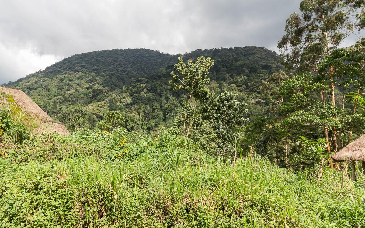 bwindi-nationalpark-buhoma-bwindi-lodge-2