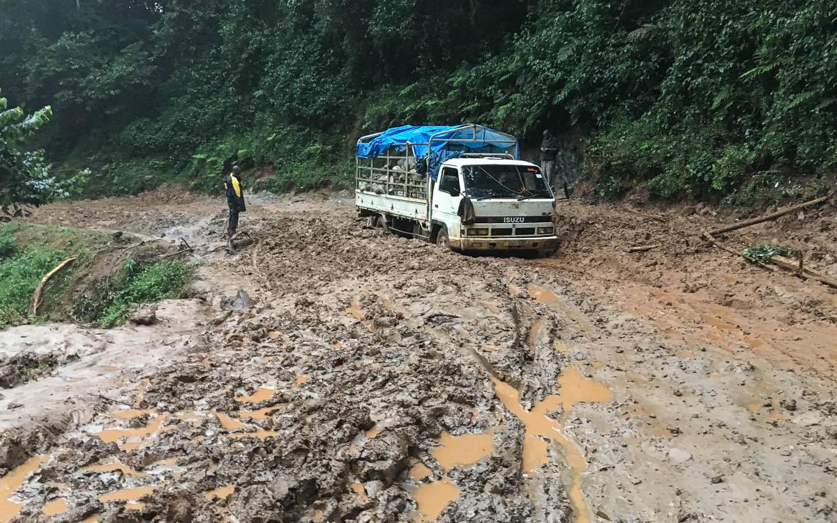 Gorilla Trekking Uganda : Route Ruhija Buhoma