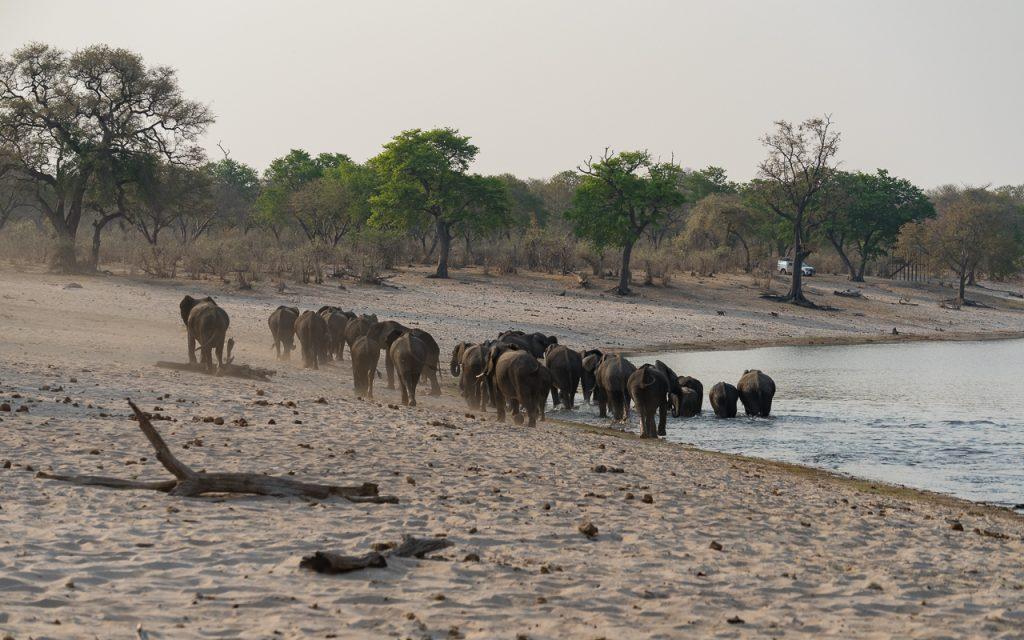 Caprivi Namibië Bwabwata National Park game drive olifanten