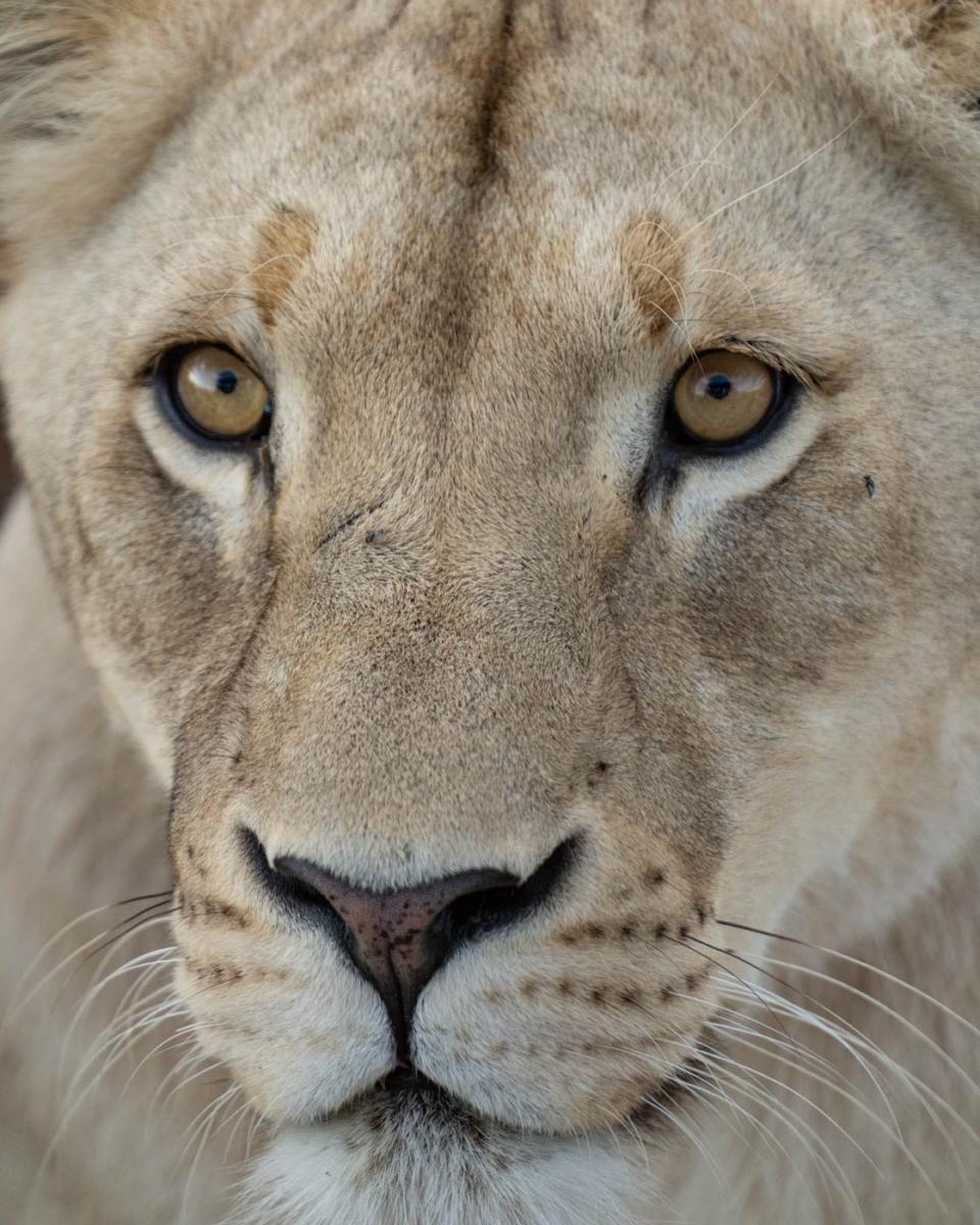 Et nous observe avec son regard profond