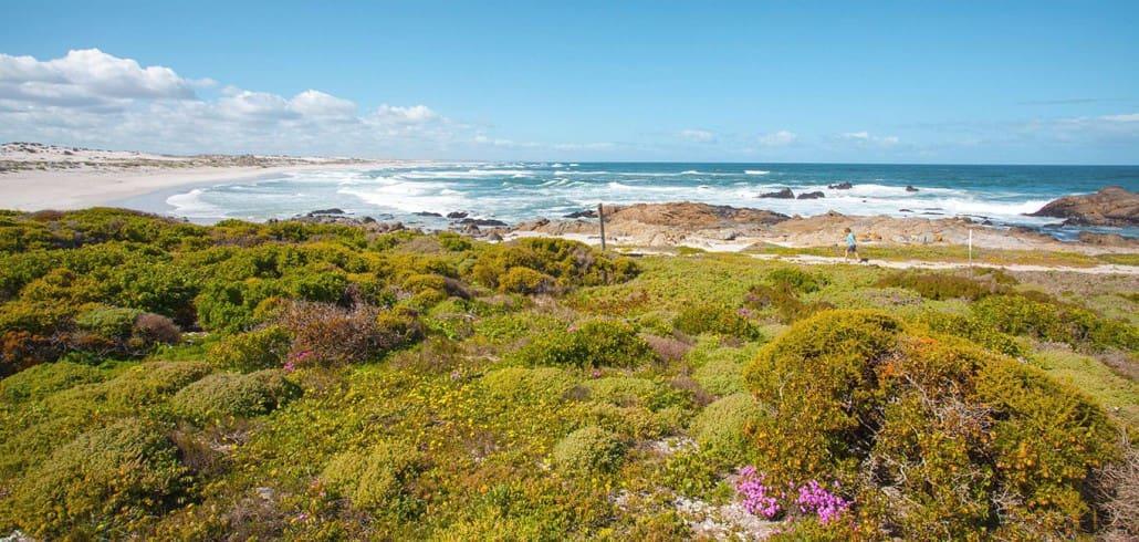 Highlights along the West Coast of South Africa: Langebaan & Paternoster