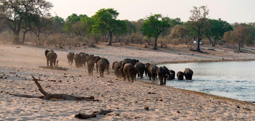 Caprivi Strip in Namibia: the dry season for wildlife observation is ideal in Namibia