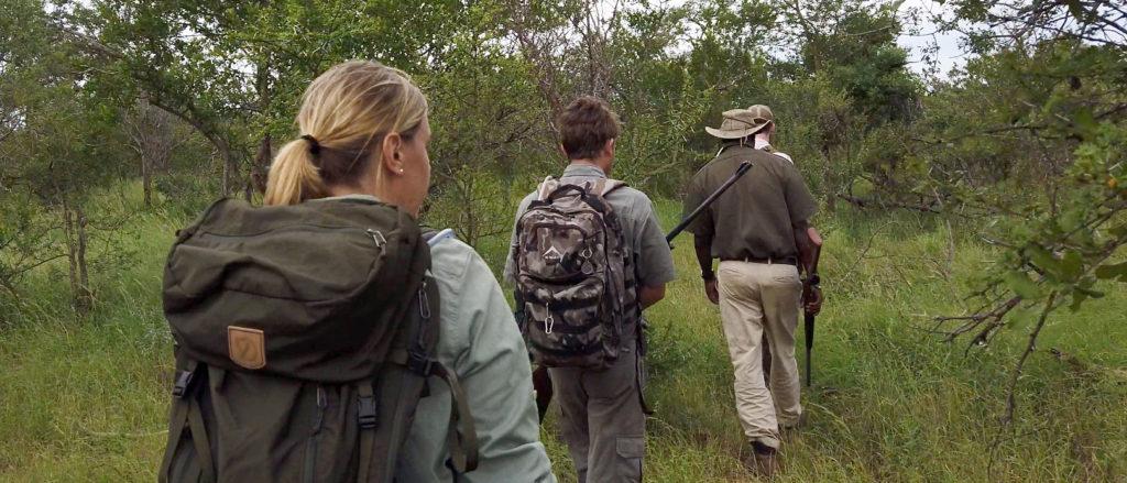 Bush Walk Ranger Training