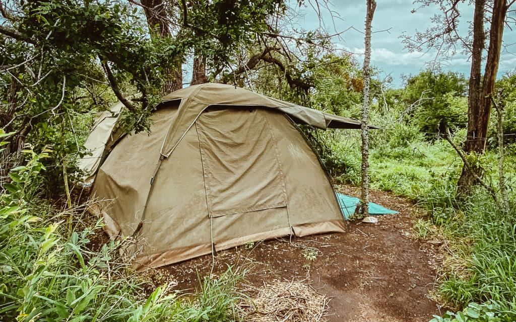 Pridelands Camp Ranger Training