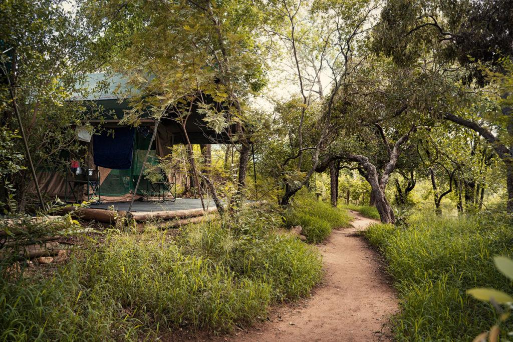 The tent is our home! Very cozy and the beds are comfortable.