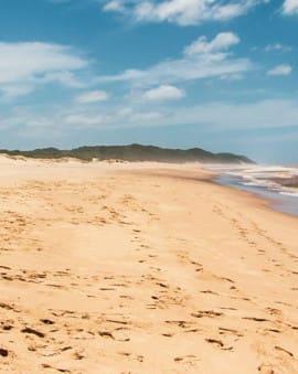 iSimangaliso Wetland Park & St. Lucia South Africa