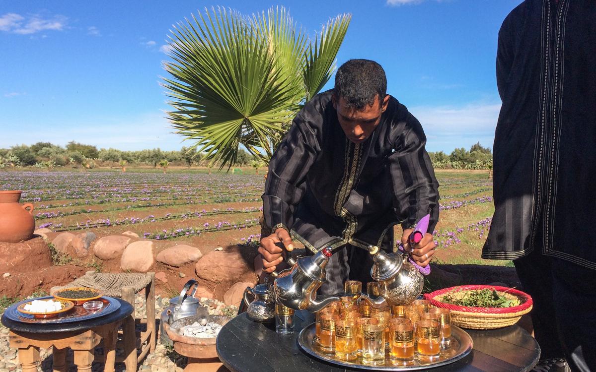 Best Travel Time Marrakech