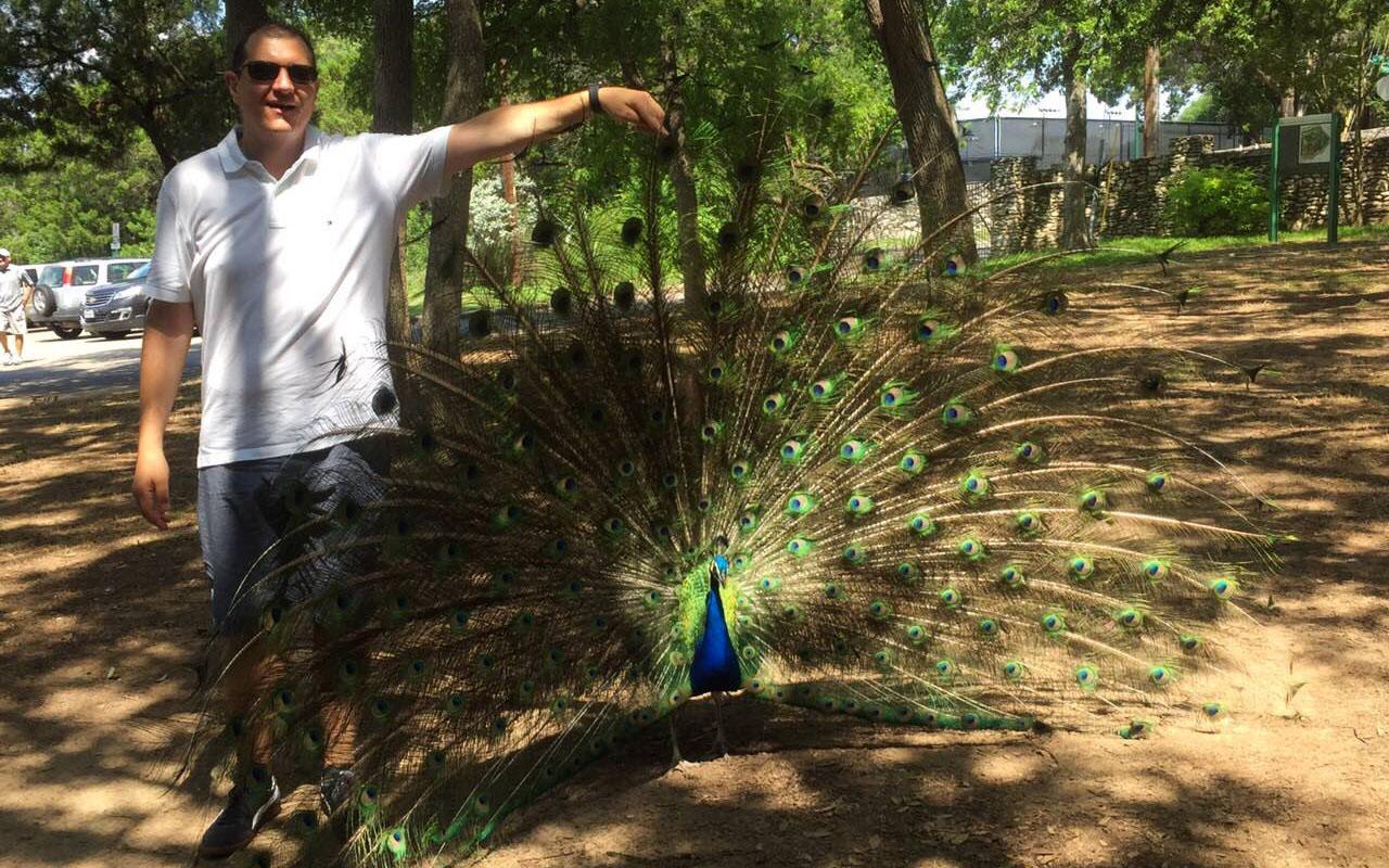 Austin Texas Tips Pauwen