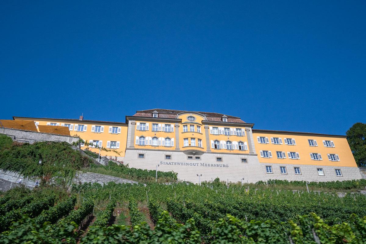 State Winery Meersburg Lake Constance