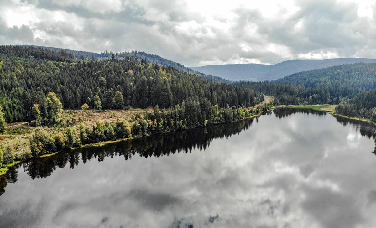 Windgfällweiher in the Black Forest near Lake Titisee.