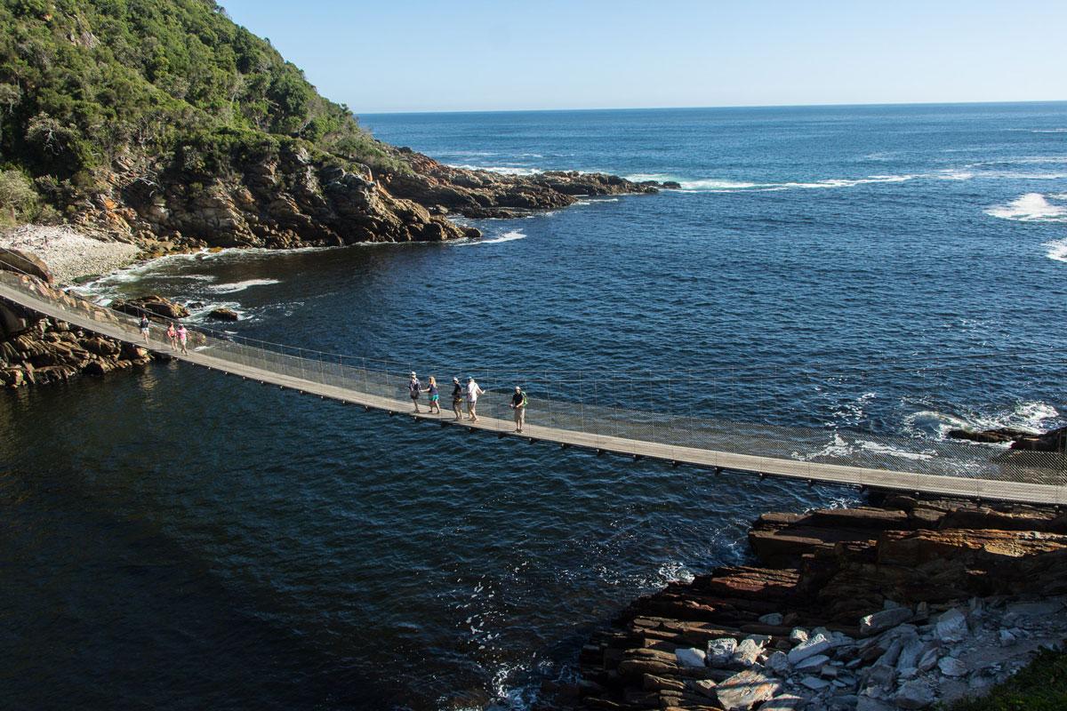 Suspension Bridge Tsitsikamma National Park