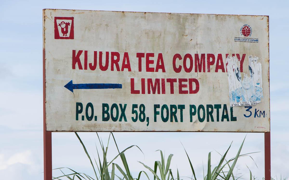 fort-portal-kijura-tea-company-limited