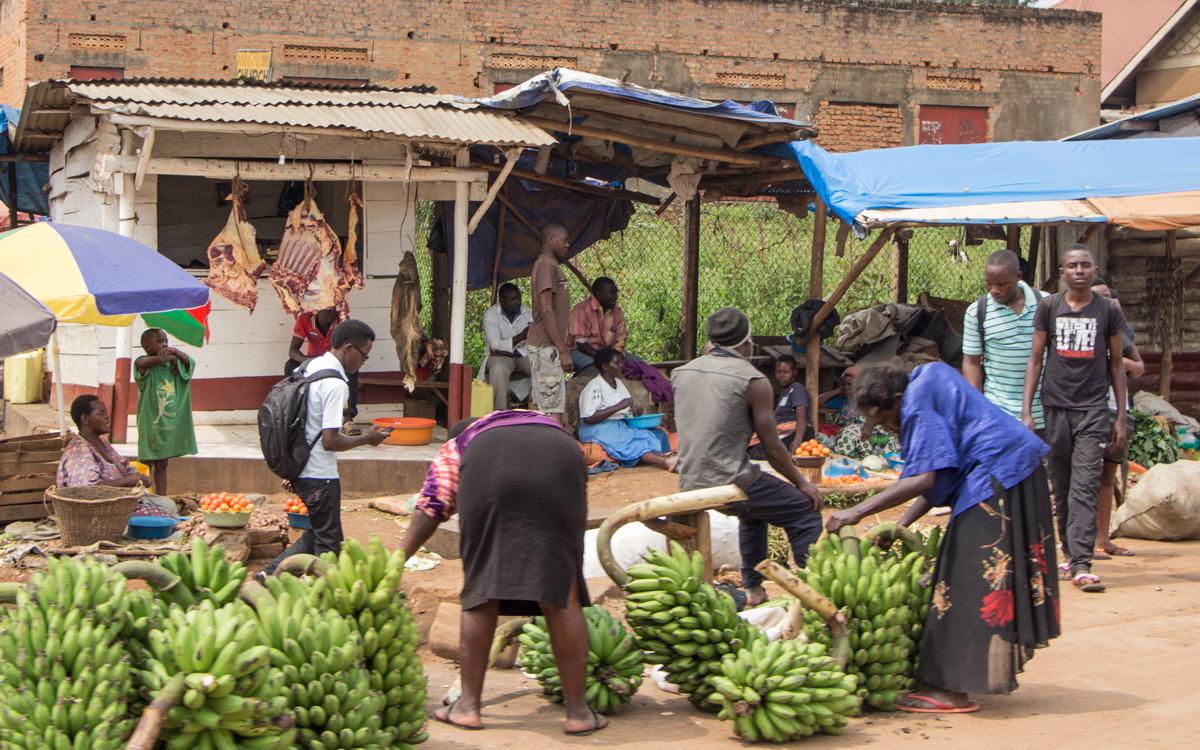 lake-mburo-to-entebbe-53