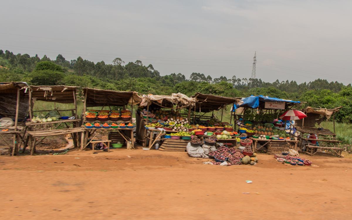 lake-mburo-to-entebbe-47