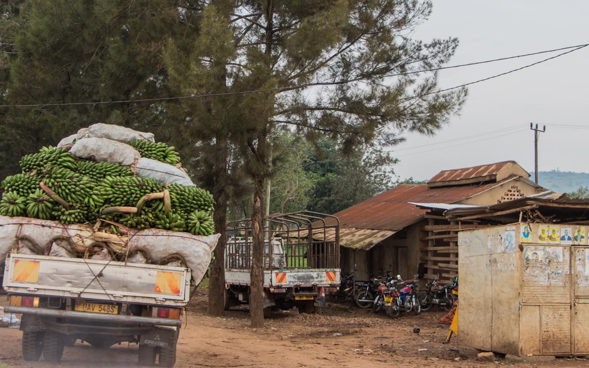 lake-mburo-to-entebbe-27