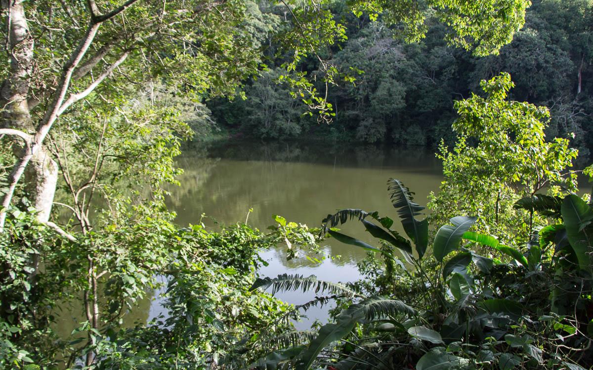 view-of-one-of-the-crater-lakes-near-fort-portal