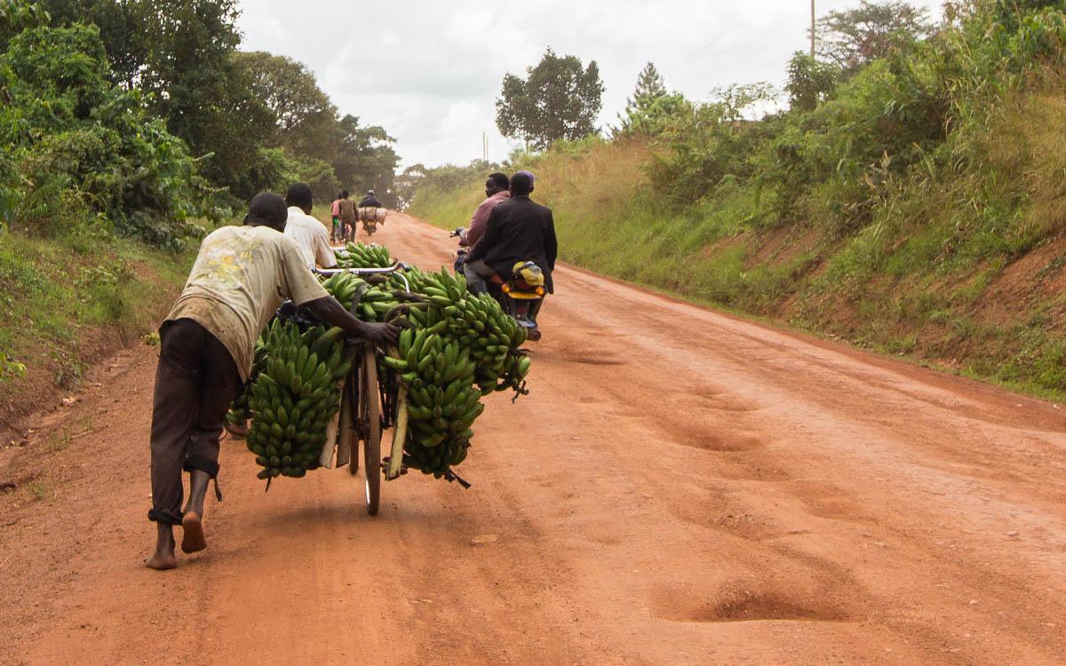 road-hoima-fortportal-bike