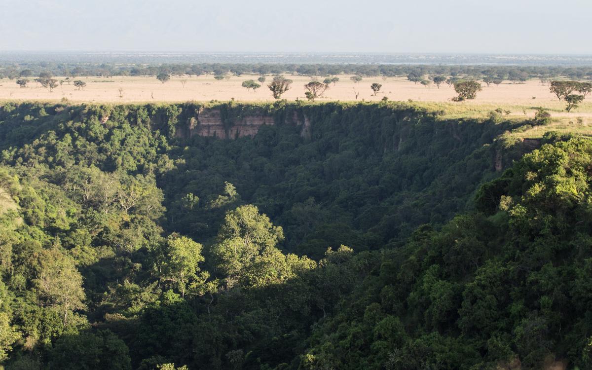 chimpanzee-tracking-in-kyambura-gorge-qenp