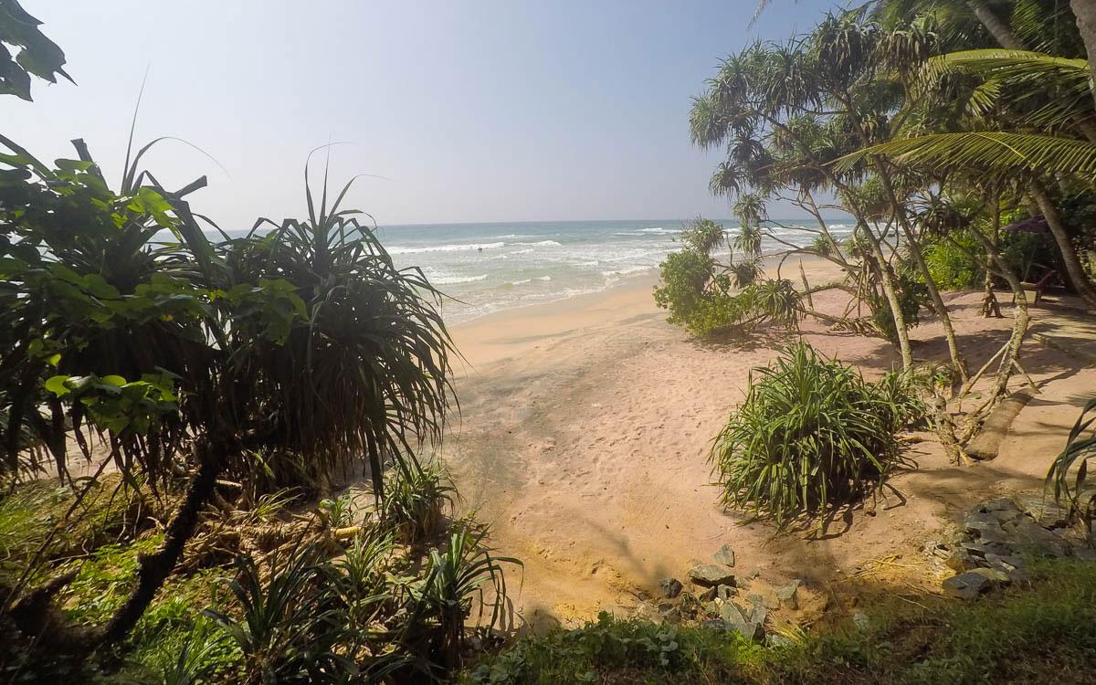 Destinations de vacances en janvier Sri Lanka