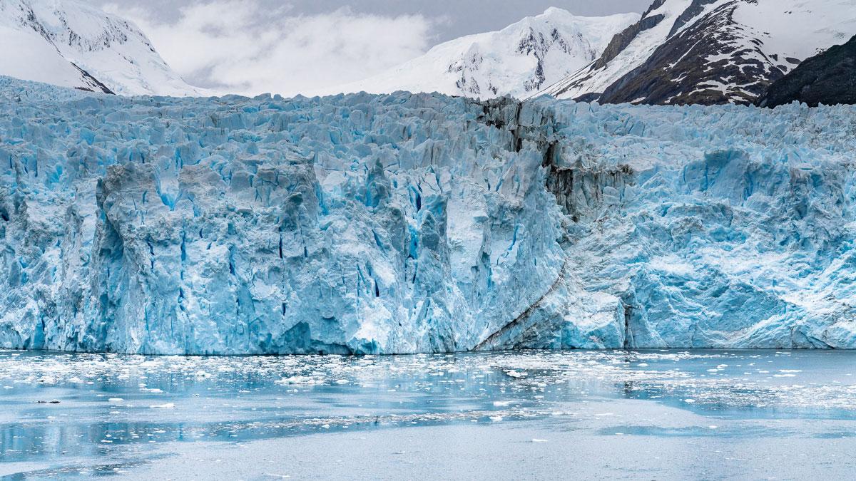 Garibaldi Glacier Chile Cruise with Australis