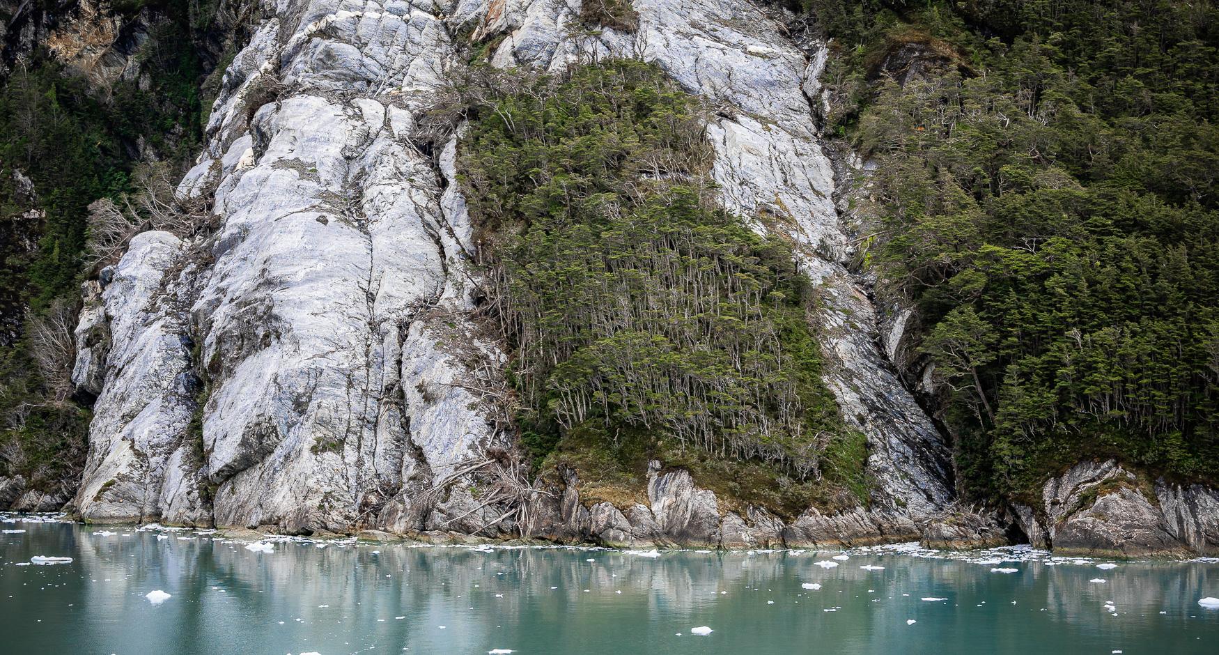 Garibaldi Fjord Rainforest Patagonia