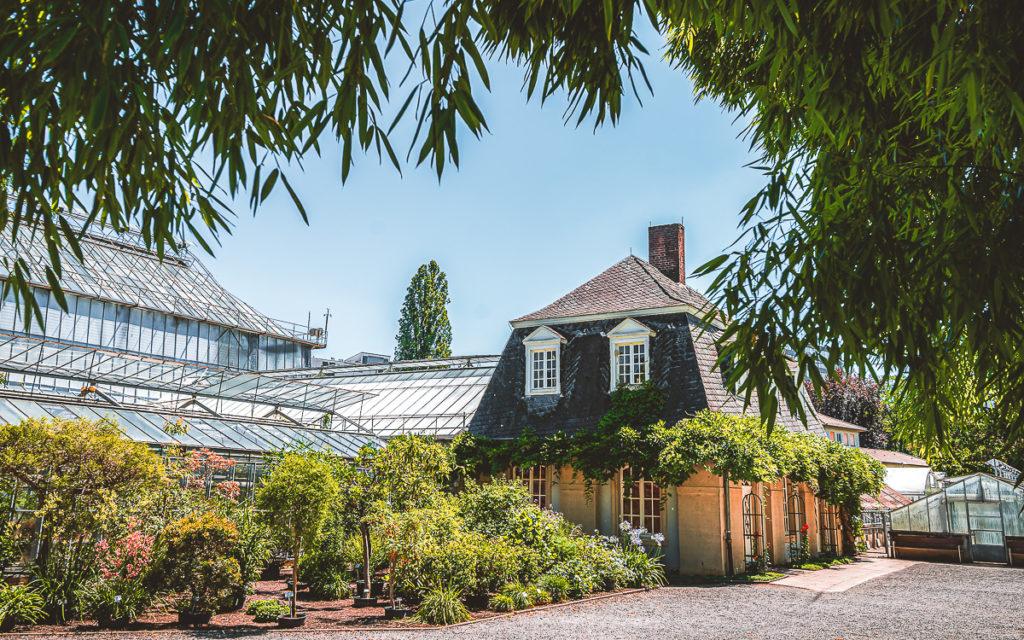 Botanische tuin in Heidelberg © Tobias Schwerdt