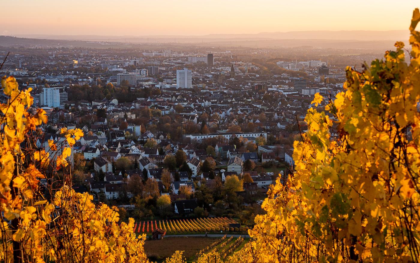 Heilbronn Wartberg View
