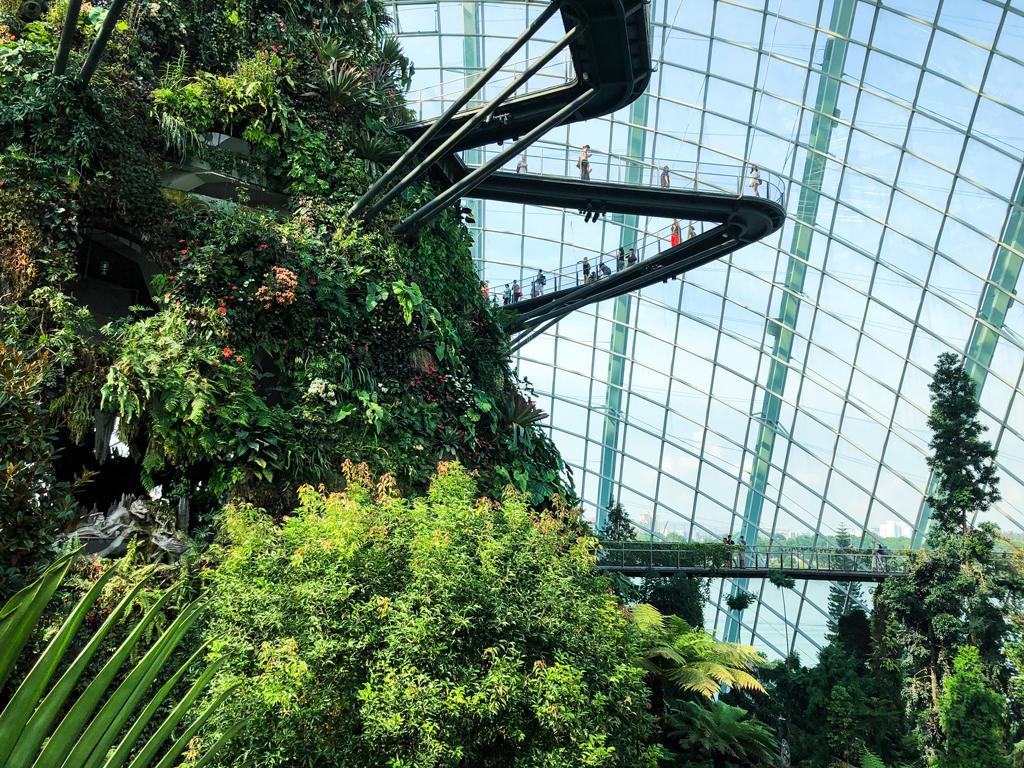 Gardens by the Bay Tips in Singapore