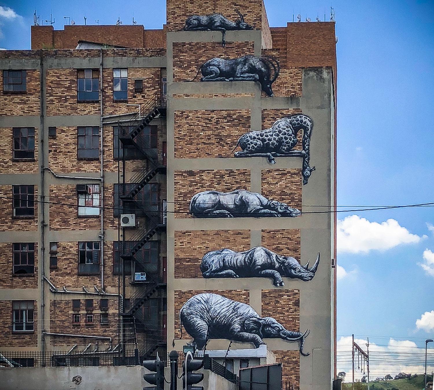 ROA Street Art Johannesburg